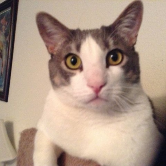 Meet your Posher, Maria - Picture 1 of 1